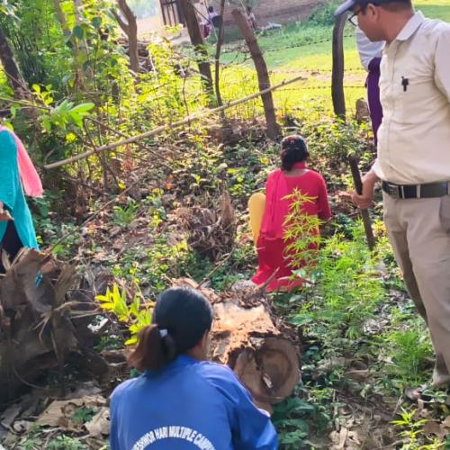 वृक्षारोपण तथा सरसफाई कार्यक्रम